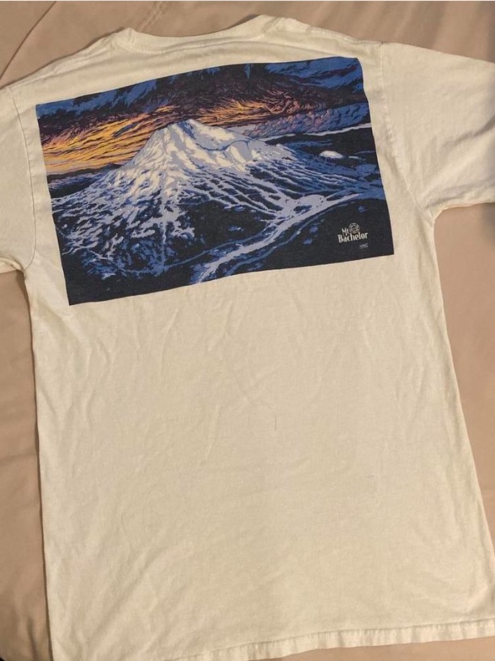 Champion Mountain Mt. Bachelor Graphic Tee with Blue and Orange Print Sz S